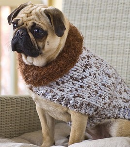 Comfy Canine Dog Sweater Knitting Pattern Photo